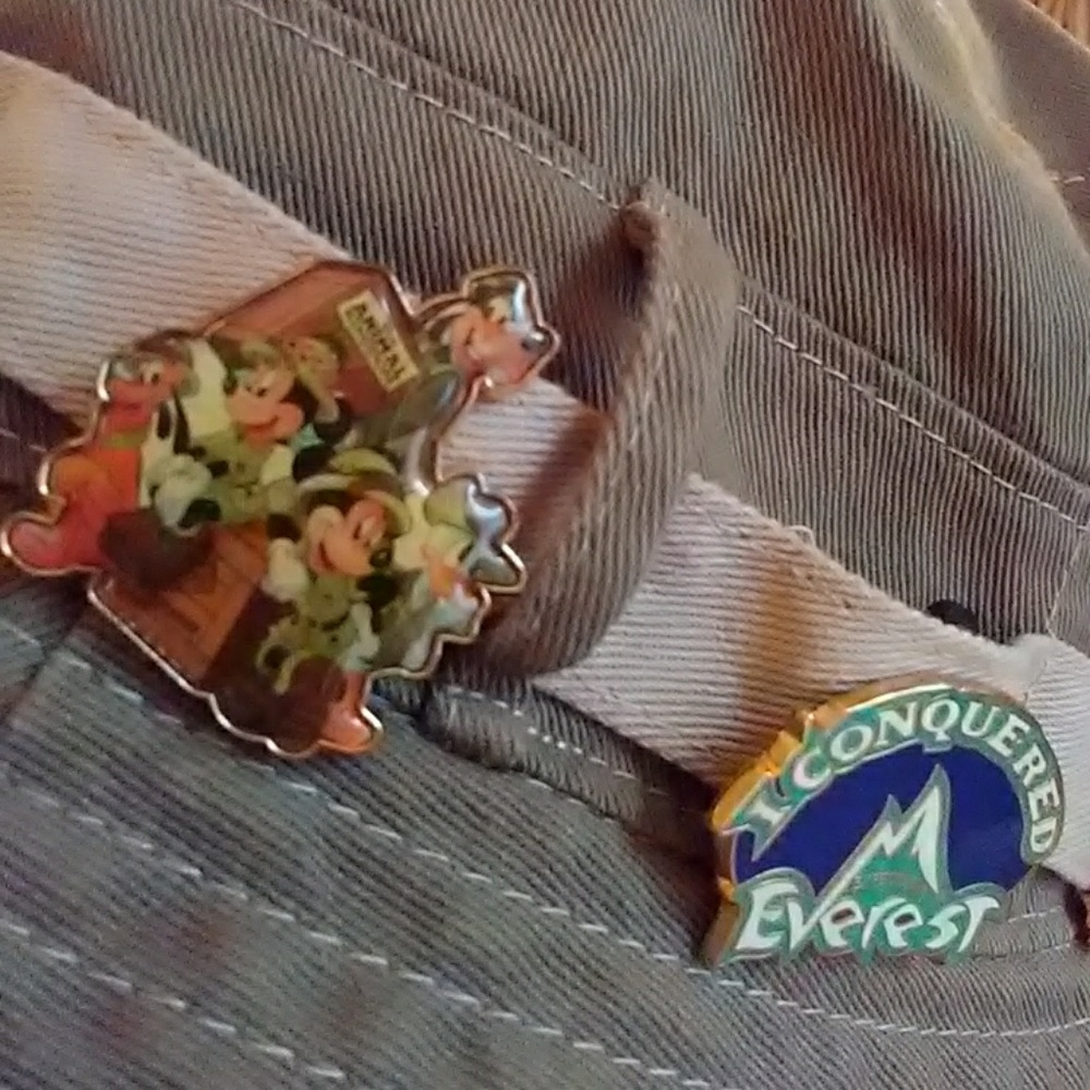 DISNEY PARKS HAT/COLLECTIBLE PINS - Picture 5 of 8